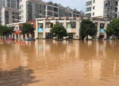 平安人壽贛州中支積極參與瑞金抗洪救災(zāi)行動(dòng)