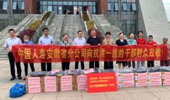 江淮抗洪 中國人壽用行動踐行國企擔(dān)當