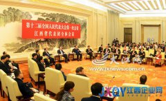 江西代表團(tuán)舉行全體會議 王岐山參加審議