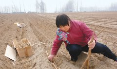 監(jiān)測顯示&mdash;&mdash;南方12省份有沙患