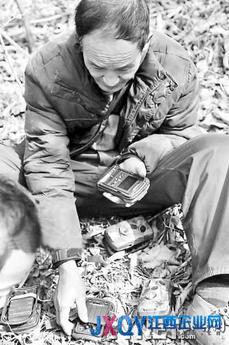 周正龍布下相機陣捕捉老虎身影 野豬現4百次