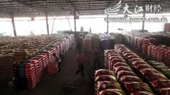 雙胞胎：全國豬飼料十包有其一