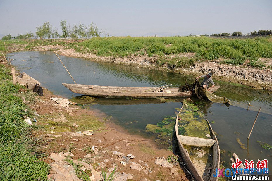 云南發(fā)布干旱橙色預(yù)警 杞麓湖大面積干涸
