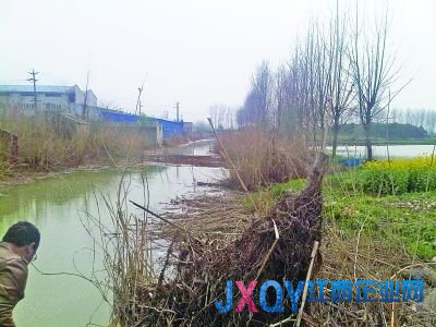 南京7污企搬遷前瘋狂排污:活魚(yú)入水10分鐘就死