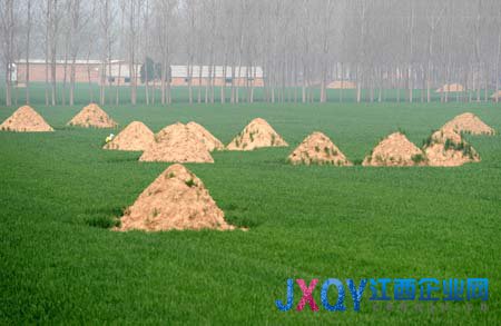 河南周口農(nóng)田墳?zāi)惯_(dá)350多萬(wàn)座