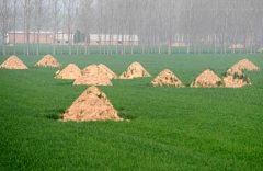 河南周口農田墳墓達350多萬座 每年增加7萬多座