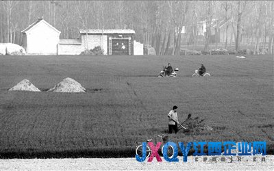 皖浙桂多地公車“頂風(fēng)”掃墓 軍車司機(jī)提防記者