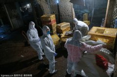 衛(wèi)生部稱目前疫情處于散發(fā)狀態(tài) 未發(fā)現(xiàn)人傳人