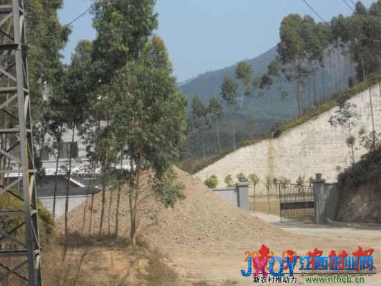 廣東“墳爺”被立案 民政局長等7名官員遭查處