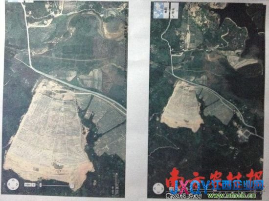 廣東“墳爺”被立案 民政局長等7名官員遭查處