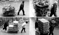 上海今起暫停所有活禽交易