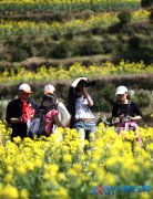 江報直播室：&ldquo;賞花經(jīng)濟(jì)&rdquo;如何擺脫&ldquo;曇花一現(xiàn)