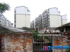 南昌一養(yǎng)豬場與居民小區(qū)只隔一墻 惡臭難忍[圖