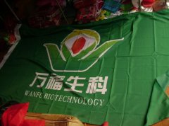 萬福生科造假案：20人遭處罰 董事長等兩人終身