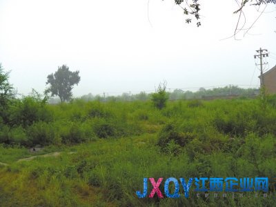 中糧“缺糧”豪賭孫河地塊 最高地價再創(chuàng)新高