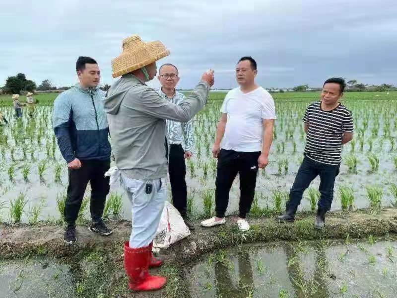 南繁：刻進生命的華章