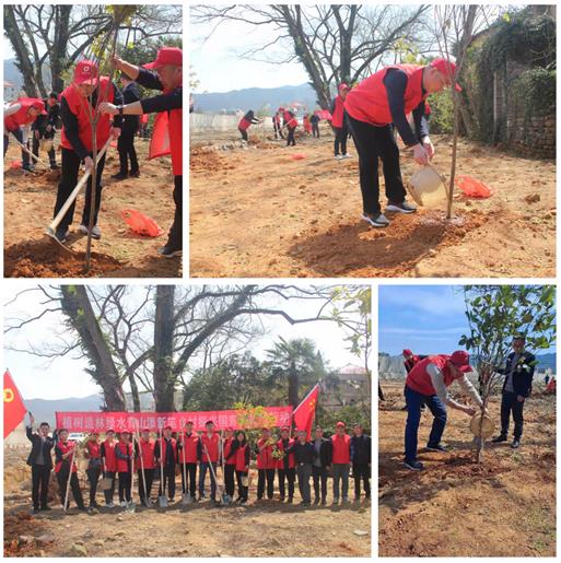 植樹(shù)造林綠水青山添新筆 鄉(xiāng)村振興國(guó)壽黨員踐行動(dòng)