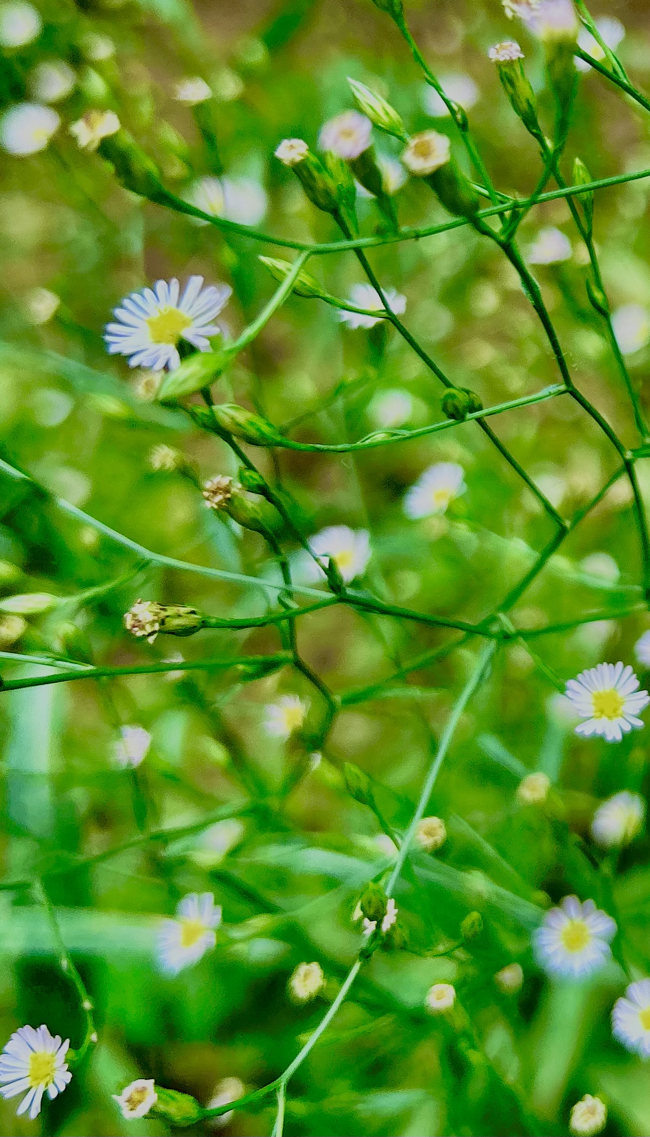 富德生命人壽&ldquo;小海豚計(jì)劃&rdquo;助力山區(qū)兒童，意外保險(xiǎn)理賠溫暖人心