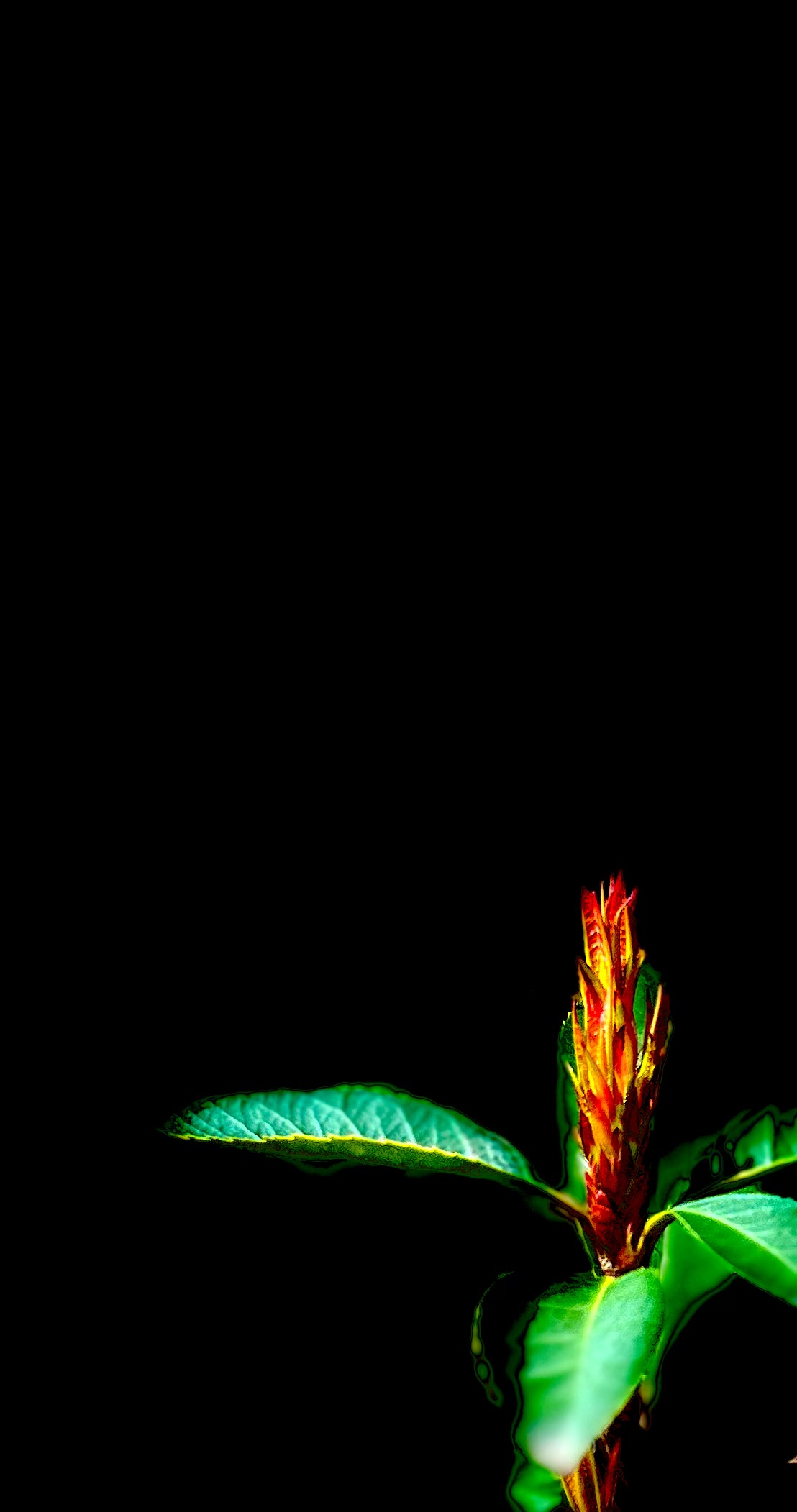 富德生命推出&ldquo;臻愛(ài)保&rdquo;長(zhǎng)期護(hù)理保險(xiǎn)，為失能群體提供全面保障