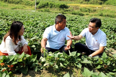 國壽實(shí)踐丨服務(wù)實(shí)體顯擔(dān)當(dāng)  高質(zhì)量發(fā)展譜新篇