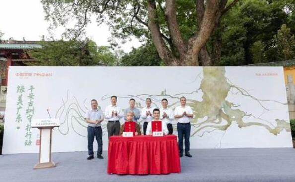 中國(guó)平安發(fā)布&ldquo;綠美廣東&middot;平安古樹(shù)守護(hù)行動(dòng)&rdquo;  為廣東古樹(shù)名木提供超2600萬(wàn)風(fēng)險(xiǎn)保障